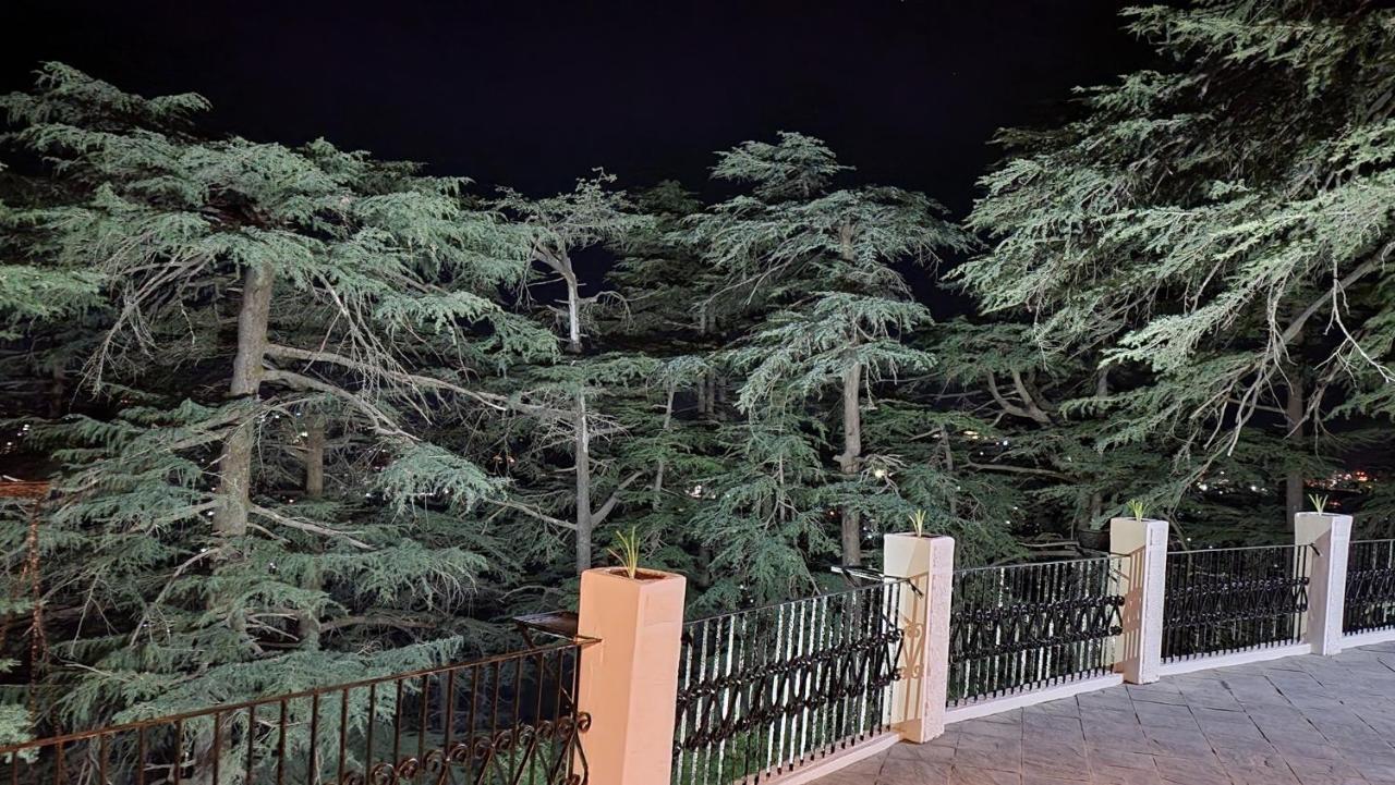 Glen View Heritage Homestay Шимла Экстерьер фото