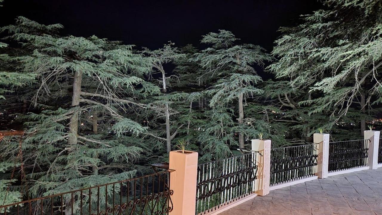 Glen View Heritage Homestay Шимла Экстерьер фото