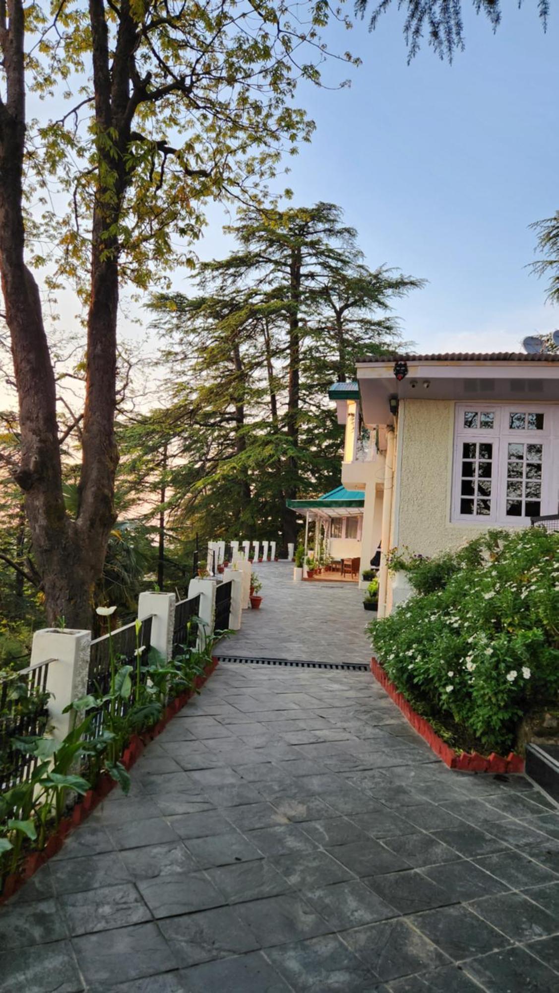 Glen View Heritage Homestay Шимла Экстерьер фото