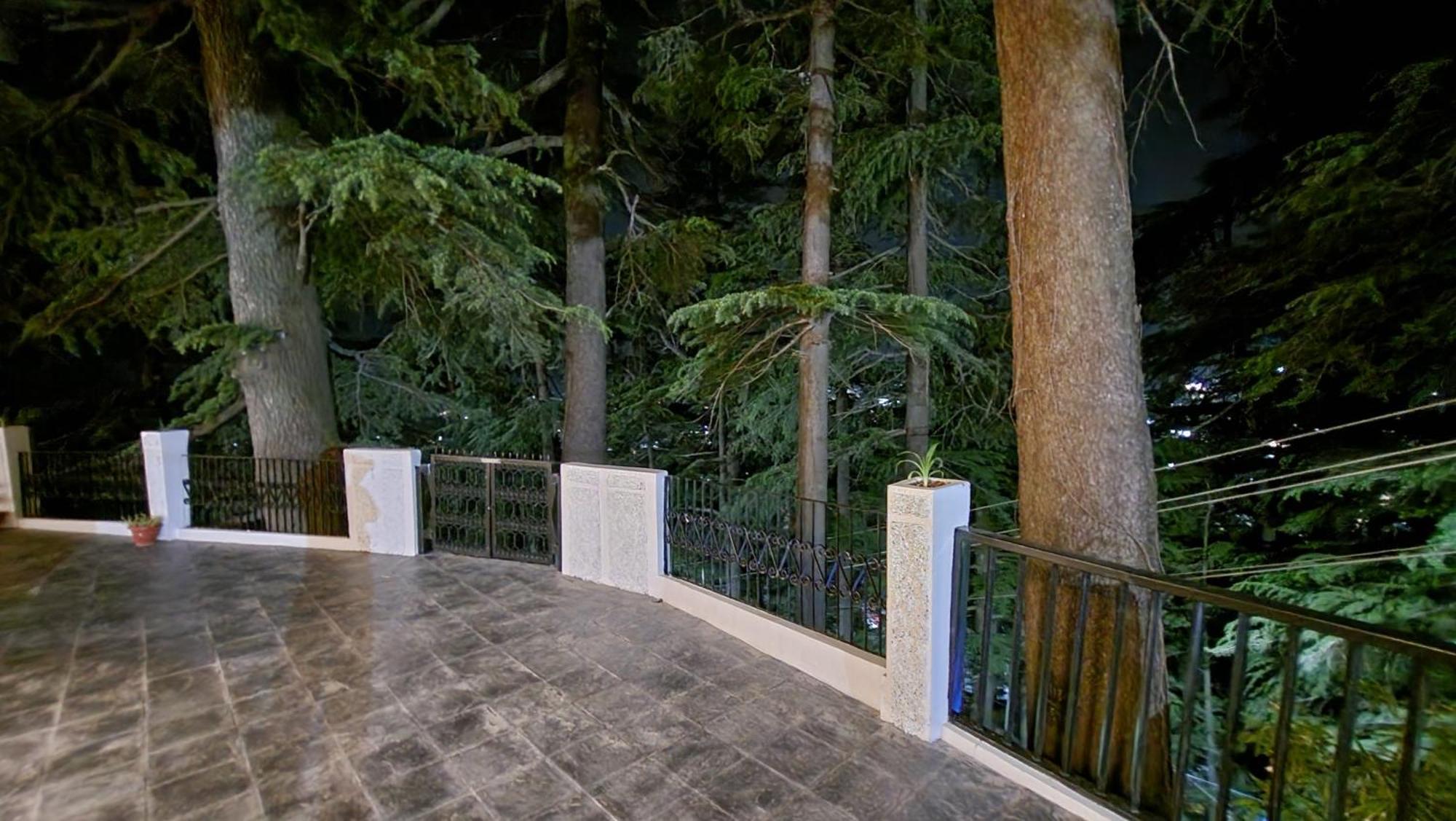 Glen View Heritage Homestay Шимла Экстерьер фото